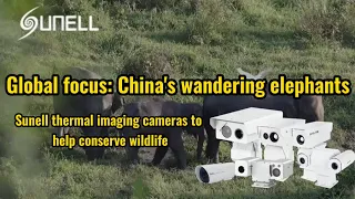 كاميرات التصوير الحراري Sunell للمساعدة في الحفاظ على الحياة البرية