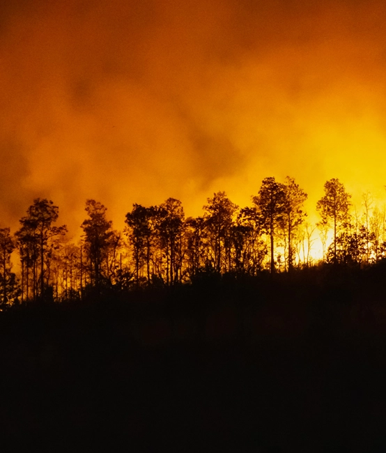 حل نظام الكشف عن حرائق الغابات